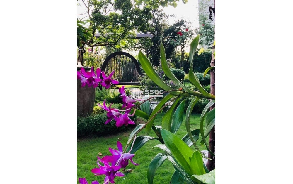 Bán căn Garden Villa Đảo Kim Cương - Hồ bơi riêng - DT 757m2 - Giá 90 tỷ